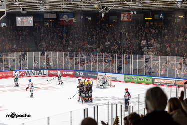 Löwen Frankfurt - Augsburg Panther - 26.11.24 - 033
