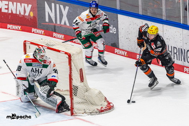 Löwen Frankfurt - Augsburg Panther - 26.11.24 - 037