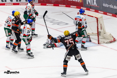 Löwen Frankfurt - Augsburg Panther - 26.11.24 - 038