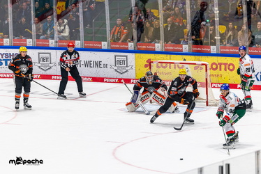Löwen Frankfurt - Augsburg Panther - 26.11.24 - 044