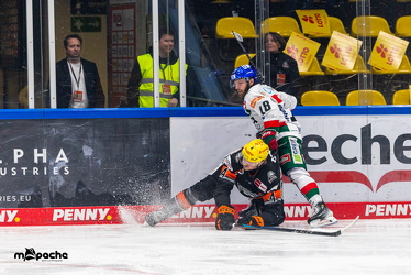 Löwen Frankfurt - Augsburg Panther - 26.11.24 - 045