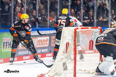 Löwen Frankfurt - Augsburg Panther - 26.11.24 - 046