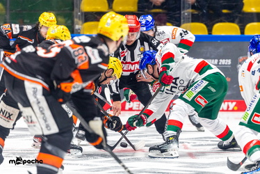 Löwen Frankfurt - Augsburg Panther - 26.11.24 - 048