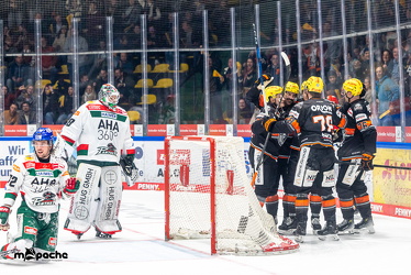 Löwen Frankfurt - Augsburg Panther - 26.11.24 - 057