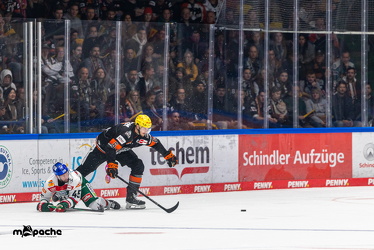 Löwen Frankfurt - Augsburg Panther - 26.11.24 - 062