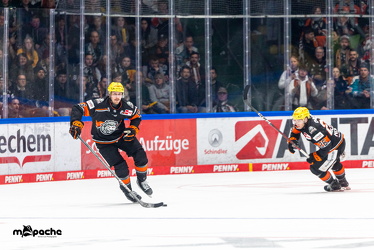 Löwen Frankfurt - Augsburg Panther - 26.11.24 - 063