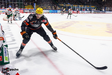 Löwen Frankfurt - Augsburg Panther - 26.11.24 - 066