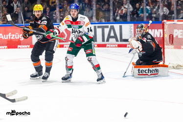 Löwen Frankfurt - Augsburg Panther - 26.11.24 - 068