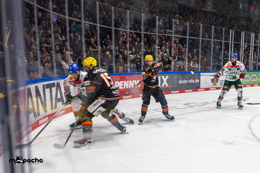 Löwen Frankfurt - Augsburg Panther - 26.11.24 - 073