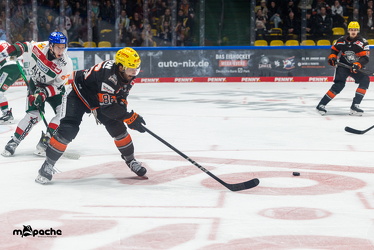 Löwen Frankfurt - Augsburg Panther - 26.11.24 - 074