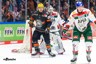 Löwen Frankfurt - Augsburg Panther - 26.11.24 - 078