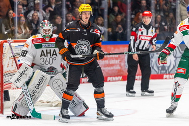 Löwen Frankfurt - Augsburg Panther - 26.11.24 - 081