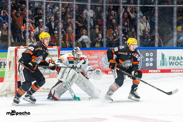 Löwen Frankfurt - Augsburg Panther - 26.11.24 - 084