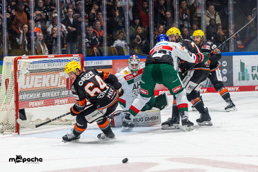 Löwen Frankfurt - Augsburg Panther - 26.11.24 - 086