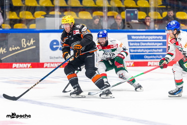 Löwen Frankfurt - Augsburg Panther - 26.11.24 - 087