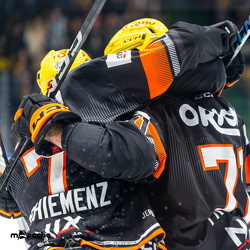 Löwen Frankfurt - Augsburg Panther - 26.11.24 - 090