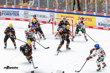 Löwen Frankfurt - Augsburg Panther - 26.11.24 - 101