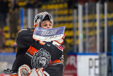 Löwen Frankfurt - Augsburg Panther - 26.11.24 - 112