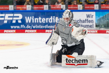 Löwen Frankfurt - ERC Ingolstadt - 28.12.24 - 003