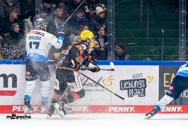 Löwen Frankfurt - ERC Ingolstadt - 28.12.24 - 015