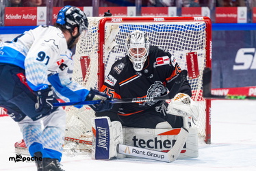 Löwen Frankfurt - ERC Ingolstadt - 28.12.24 - 036