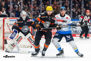 Löwen Frankfurt - ERC Ingolstadt - 28.12.24 - 053