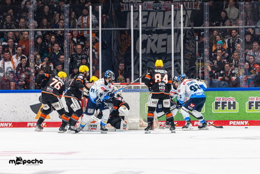 Löwen Frankfurt - ERC Ingolstadt - 28.12.24 - 061
