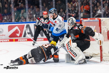 Löwen Frankfurt - ERC Ingolstadt - 28.12.24 - 065
