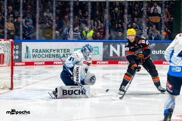 Löwen Frankfurt - ERC Ingolstadt - 28.12.24 - 071