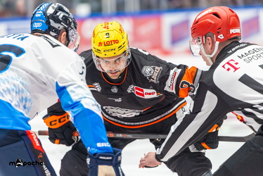 Löwen Frankfurt - ERC Ingolstadt - 28.12.24 - 072