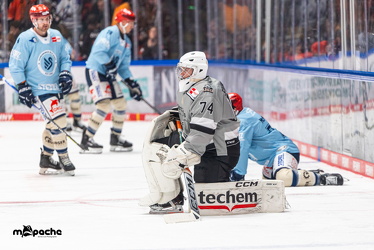 Löwen Frankfurt - Schwenninger Wild Wings - 10.1.25 - 002
