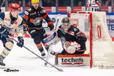 Löwen Frankfurt - Schwenninger Wild Wings - 10.1.25 - 033
