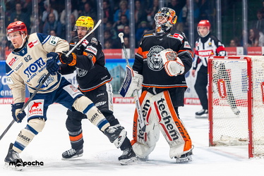 Löwen Frankfurt - Schwenninger Wild Wings - 10.1.25 - 034
