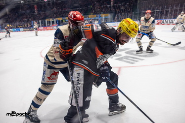Löwen Frankfurt - Schwenninger Wild Wings - 10.1.25 - 039