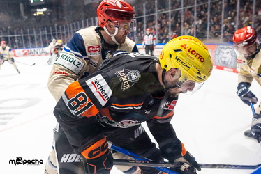 Löwen Frankfurt - Schwenninger Wild Wings - 10.1.25 - 041
