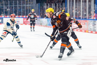 Löwen Frankfurt - Schwenninger Wild Wings - 10.1.25 - 042
