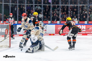 Löwen Frankfurt - Schwenninger Wild Wings - 10.1.25 - 046