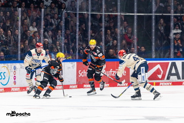 Löwen Frankfurt - Schwenninger Wild Wings - 10.1.25 - 048