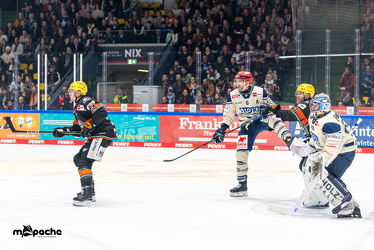 Löwen Frankfurt - Schwenninger Wild Wings - 10.1.25 - 051