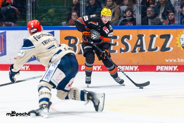Löwen Frankfurt - Schwenninger Wild Wings - 10.1.25 - 052