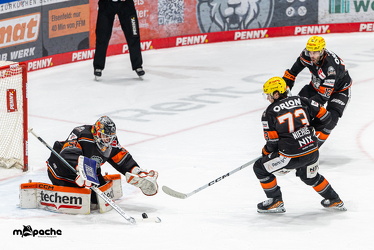 Löwen Frankfurt - Schwenninger Wild Wings - 10.1.25 - 085