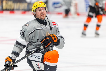 Löwen Frankfurt - Nürnberg IceTigers - 24.1.25 - 002