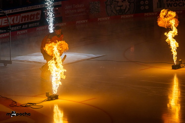 Löwen Frankfurt - Nürnberg IceTigers - 24.1.25 - 018