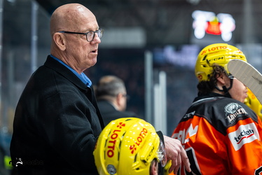 Löwen Frankfurt - Nürnberg IceTigers - 24.1.25 - 029