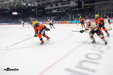 Löwen Frankfurt - Nürnberg IceTigers - 24.1.25 - 032