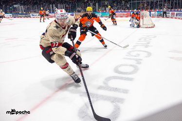 Löwen Frankfurt - Nürnberg IceTigers - 24.1.25 - 033