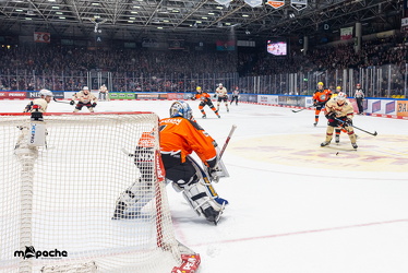 Löwen Frankfurt - Nürnberg IceTigers - 24.1.25 - 036