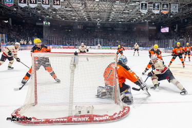 Löwen Frankfurt - Nürnberg IceTigers - 24.1.25 - 037