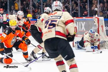 Löwen Frankfurt - Nürnberg IceTigers - 24.1.25 - 040