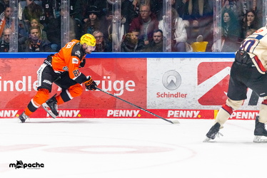 Löwen Frankfurt - Nürnberg IceTigers - 24.1.25 - 042